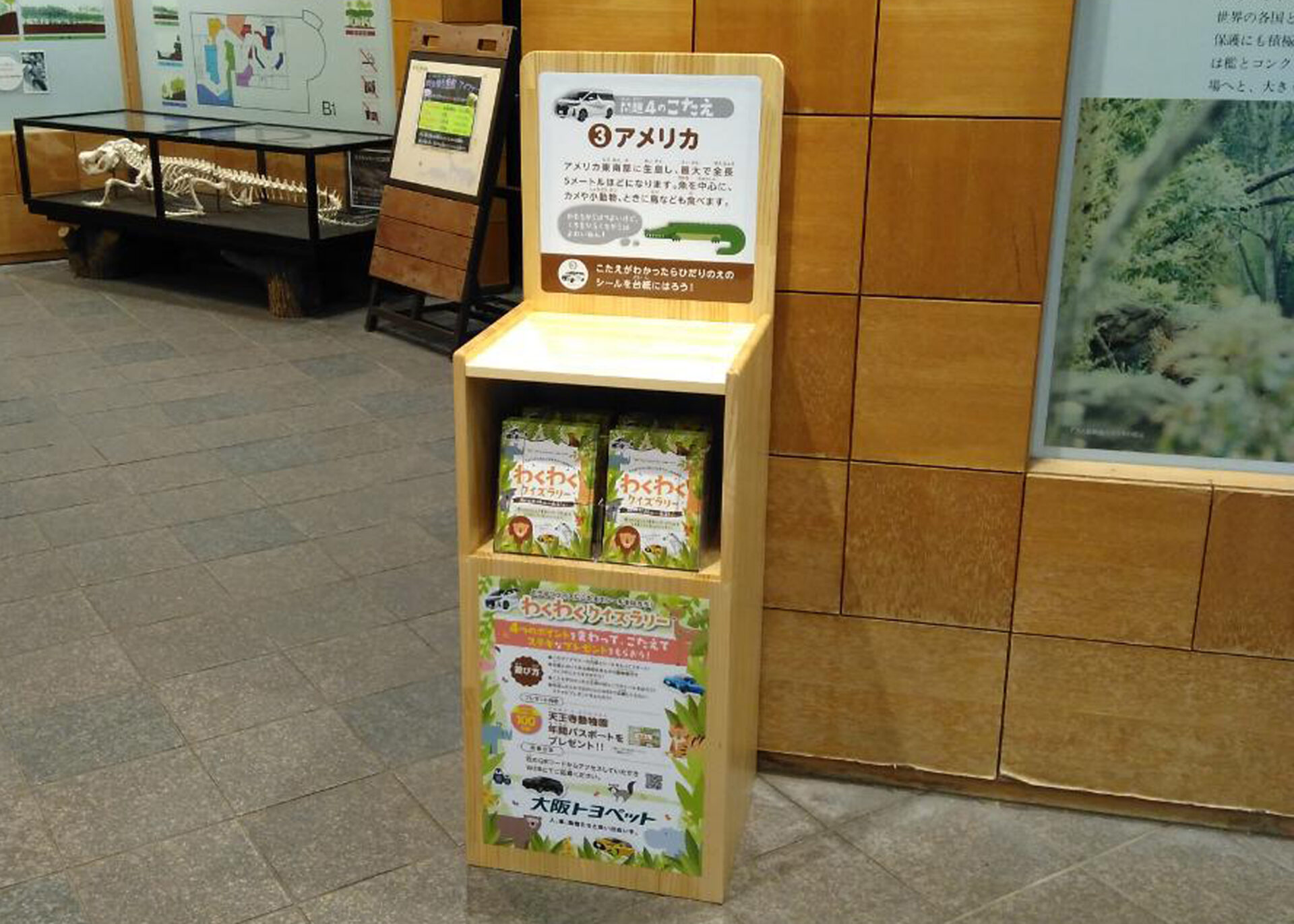 動物に関するクイズラリーの実施